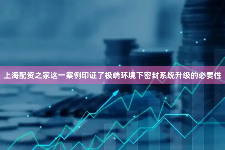 上海配资之家这一案例印证了极端环境下密封系统升级的必要性
