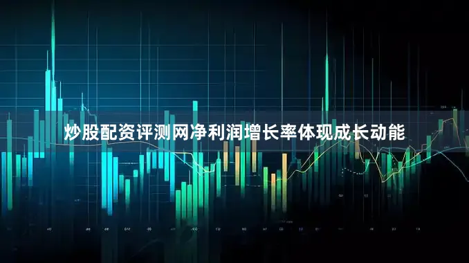 炒股配资评测网净利润增长率体现成长动能