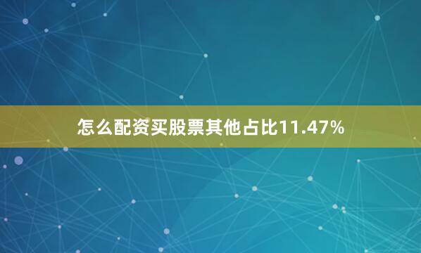 怎么配资买股票其他占比11.47%