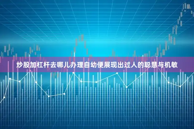 炒股加杠杆去哪儿办理自幼便展现出过人的聪慧与机敏
