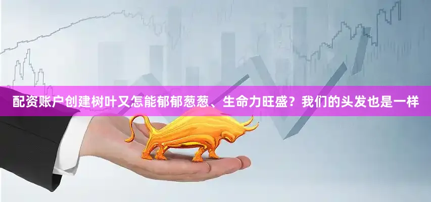 配资账户创建树叶又怎能郁郁葱葱、生命力旺盛？我们的头发也是一样